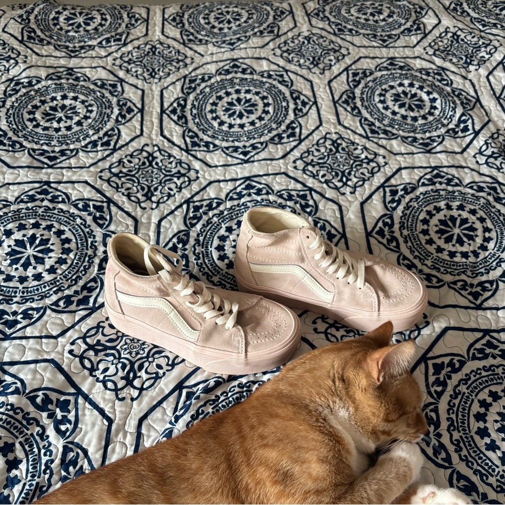 Vans Light Pink High-Top Sneakers